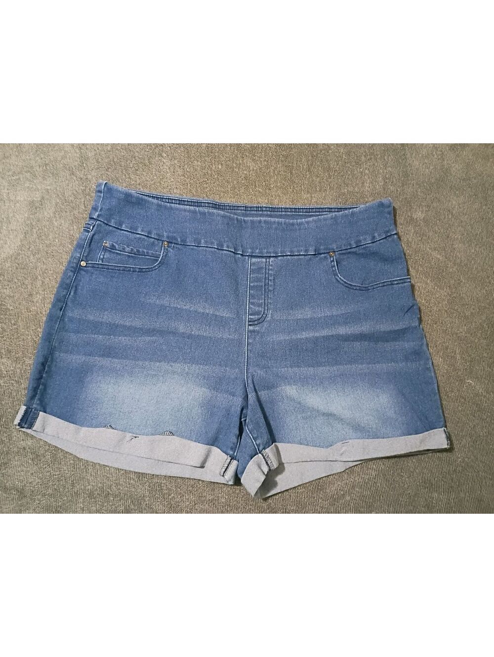 Time and Tru Women's Denim Shorts XL (16-18)